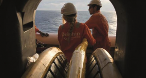 Dolphin Files for Bankruptcy